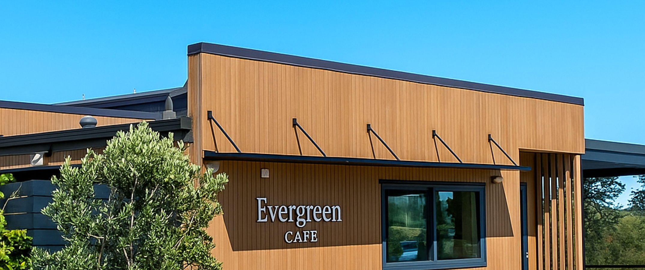 Evergreen 3